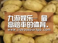 产品展示标题6
