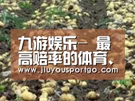 种植基地七