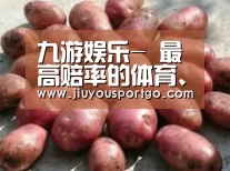 产品展示标题5