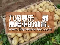 产品展示标题3