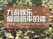 种植基地八(图1)