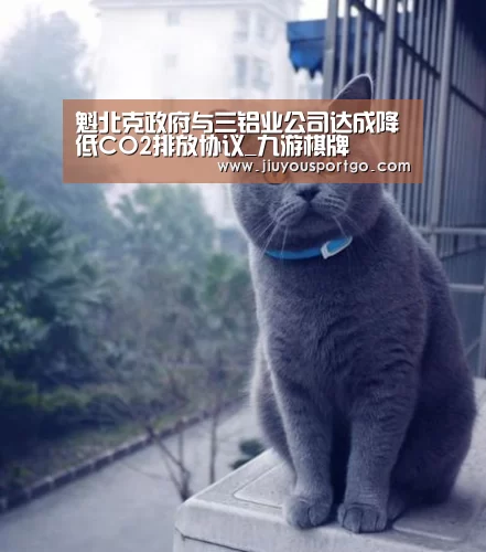 魁北克政府与三铝业公司达成降低CO2排放协议_九游棋牌(图4) 九游棋牌官网