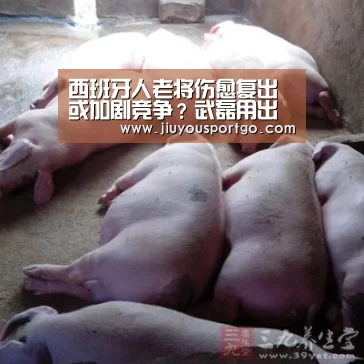 西班牙人老将伤愈复出或加剧竞争?武磊用出色表现力保首发“jiuyou”(图2) 九游棋牌