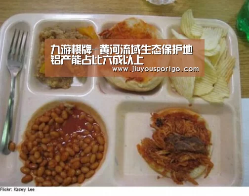 九游棋牌-黄河流域生态保护地铝产能占比六成以上(图2) 九游棋牌官网