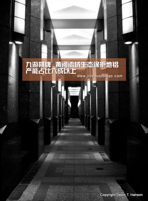 九游棋牌-黄河流域生态保护地铝产能占比六成以上(图4) 九游棋牌-黄河流域生态保护地铝产能占比六成以上(图4)