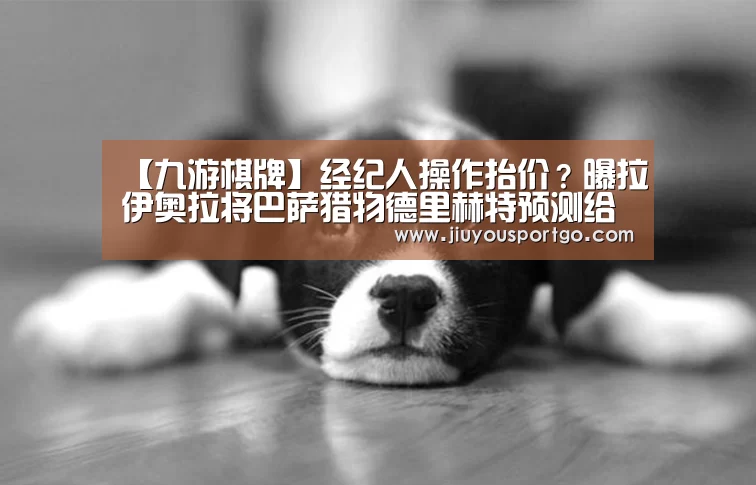 【九游棋牌】经纪人操作抬价?曝拉伊奥拉将巴萨猎物德里赫特预测给尤文(图2) 九游棋牌