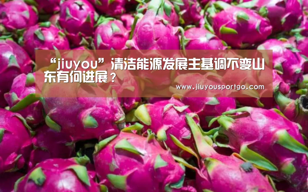 “jiuyou”清洁能源发展主基调不变山东有何进展?(图3) 九游棋牌