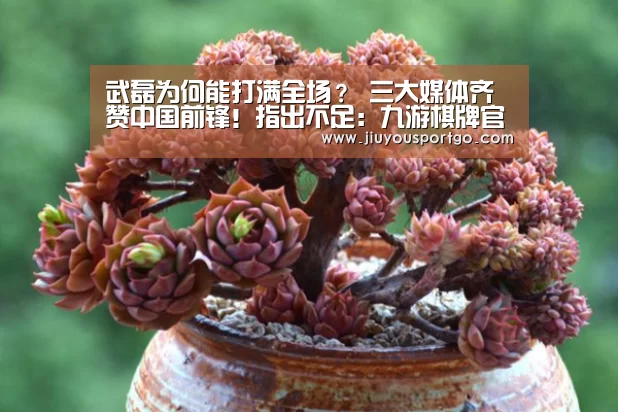 武磊为何能打满全场？ 三大媒体齐赞中国前锋！指出不足：九游棋牌官网(图1)
